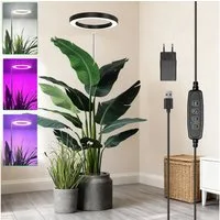 Laybasic Pflanzenlampe 72LEDs Pflanzenlampe Vollspektrum,Garten Zimmergewächshaus Growlight, 35–155 cm höhenverstellbar,Dimmbare Helligkeit,3/9/12H Timer