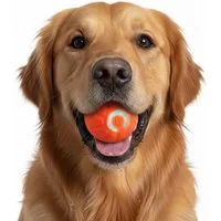 FLOCKI Pets™ Tier-Intelligenzspielzeug Hundespielzeug bewegender Ball, Moving & jumping Ball, mit LED-Beleuchtung, bewegender & springender Ball