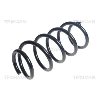 Triscan Feder vorne VW Crafter 2,0 TDI 875029531