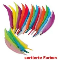 Fries Bastelfedern 24 Stück Federn Feder gemischt Basteln Karneval Halloween Deko, (24-tlg), 24 Stück