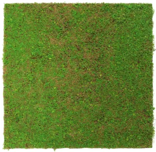 Grün