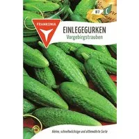 FRANKONIA Gemüsesamen Einlegegurke, Vorgebirgstrauben - Gurken-Samen Saatgut Samen, Cucumis sativus