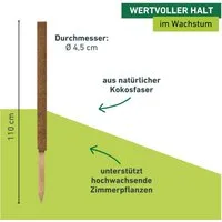 Windhager Rankhilfe aus Kokos, Pflanzstäbe verlängerbar, Ø 4,5 cm, Rankstab, 1 St., für hochwachsende Zimmerpflanzen, erhältlich in 60, 80 oder 110 cm