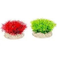 Europet-Bernina Aquariendeko Aquariumpflanze Kristallkraut-Moos