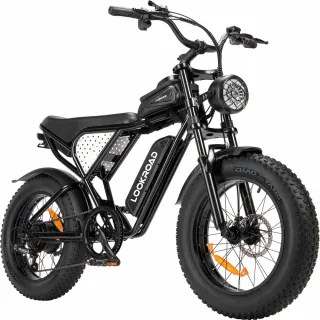 LOOKROAD L20 Min Electric Bike, 48V 15.6Ah Battery, 1000W Motor, Recommended Top Speed 25KM/H, Speed Sensor, Mechanical