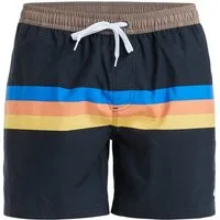 Quiksilver Boardshorts Everyday Straight 15"