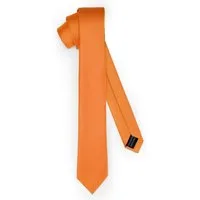 Ladeheid Krawatte Klassische Herren Krawatte, matt Vielfältige Farben TMM-5 150cmx5cm (1-St)