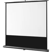 Celexon Professional Pull-Up-Leinwand (schwarze Rückseite)