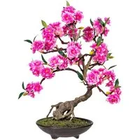 Kunstbonsai Margarete Bonsai, OTTO home, Höhe 50 cm, Kunstpflanze, in formschöner Zementschale