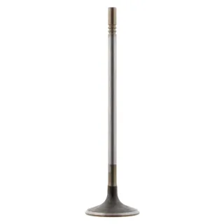Febi Einlassventil Chevrolet Fiat Opel 1,6