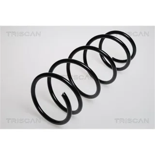 Triscan Feder vorne Renault Clio Thalia 1,4