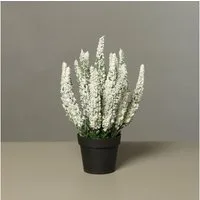 Kunstpflanze Künstliche Erika im Topf 27cm mit 19 Blütenstiele, mucPlants