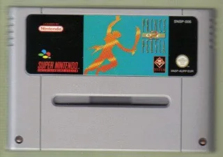 SNES Spiel: Prince of Persia 2 II NUR DAS EINZELNE SPIEL-MODUL (für SNES Super Nintendo PAL deutsch)