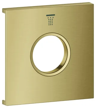 GROHE Metallplatte Grohtherm Aqua Tiles 107175, Symbol: Kopfbrause 7 cool sunrise geb., 107175GN00 107175GN00