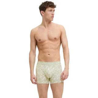 Jack And Jones - Retropants für Herren, Anliegend (3er-Pack) (Wüstensalbei)