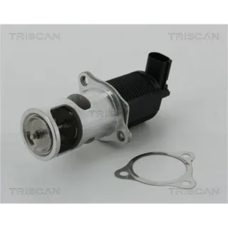 Triscan AGR-Ventil Dacia Nissan Renault 881325038 1,5