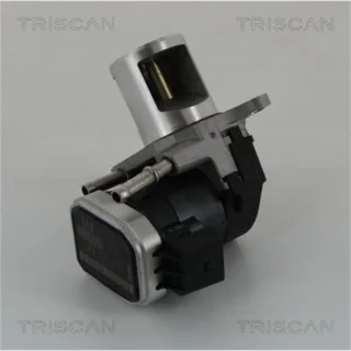 Triscan AGR-Ventil Mercedes 881323016
