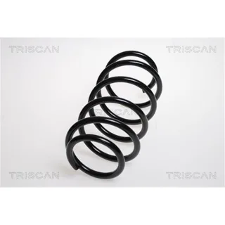 Triscan Feder vorne Opel Astra H 1,4 875024128
