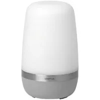 blomus Windlicht Outdoorleuchte Spirit Platinium Gray (15cm)