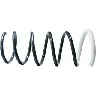 Sachs Feder hinten Dacia Duster 994631