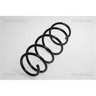 Triscan Feder vorne Fiat Grande Punto 875015105