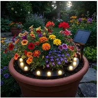 Harms Import LED Solarleuchte, Warmweiß, LED Solar Stecklampe Blumentopfleuchte schwarz IP44 Erdspieß