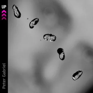 Up [Audio CD] GabrielPeter