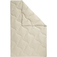 fan Naturfaserbettdecke TENCEL™ Leinen, Füllung: 50% Lyocell (TENCEL), 50% Leinen, Bezug: 100% Baumwolle, natürlich, kühlendes Schlafklima