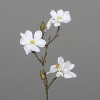 40 cm