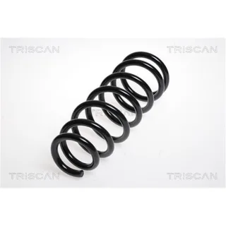 Triscan Feder hinten Toyota Avensis T25 875013116