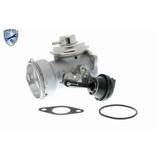 Vemo AGR-Ventil Audi Ford Seat Skoda VW V10-63-0020