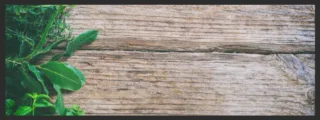 Küchenteppich 4445 | Größe: 75 cm x 120 cm