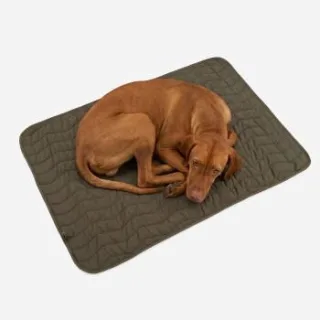THE DOG IDEA Hundereisebett Khaki L
