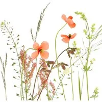 Braun+Company Atelier Papierserviette Braun & Company Servietten Motiv Wiesenblume 33 x