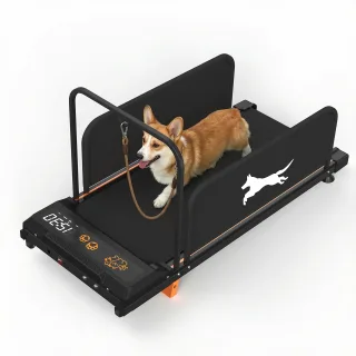 [EU Direct] Bominfit GP03B Ultra-Quiet Dog Treadmill for Small & Medium Dogs with Leash Pole & Side Protection, 2.5HP Pe