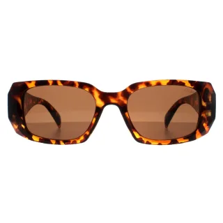 Atum Nyx C2 glÃ¤nzend havannabraun Sonnenbrille
