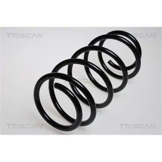Triscan Feder vorne Audi 100 A6
