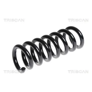 Triscan Feder hinten Mercedes C-Klasse E-Klasse