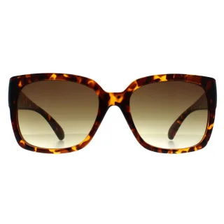 Calvin Klein CK22549S 240 glÃ¤nzende havannabraune Sonnenbrille mit Farbverlauf