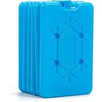 FELIXLEO Kühlakku 6er Set Kuehlakkus fuer Kuehlbox Kuehltasche 200ml Ultraduenn Flach