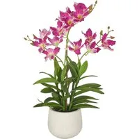 Kunstorchidee Dendrobie, Creativ green, Höhe 55 cm, mit Real-Touch-Blüten