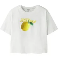 Name It T-Shirt NKFFARINAZ SS NREG SHORT TOP BOX mit sommerlichem Frontmotiv