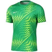 Nike Torwarttrikot Nike Performance Gardien VI Torwarttrikot Kurzarm