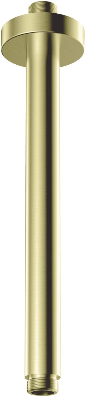 Neuesbad Serie 310 Decke Auslauf, 250 mm, Gold gebürstet NB1DENACR42K1