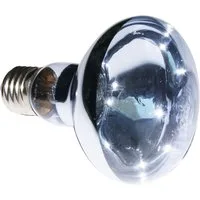 ReptiZoo Terrarienleuchte ReptiZoo Neodym Spot (UVA) Heizlampe 100 Watt (B80100)