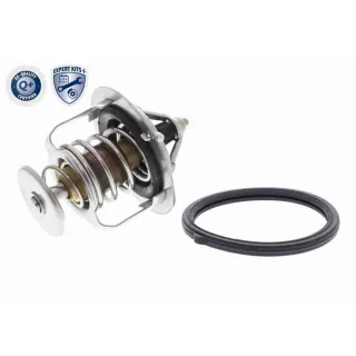 Ackoja Thermostat + Dichtung Ford Mazda Suzuki A32-99-1705