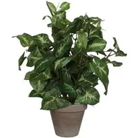 Kunstpflanze Mica Kunstpflanze Syngonium grün im Topf 35 x 25, Mica Decorations