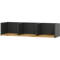 Vicco Bücherregal Tomy, Anthrazit/Goldkraft Eiche, 90 x 20 cm, 1-tlg.