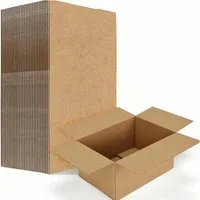 PACIEA Karton Flacher Versandkarton 210x110x70mm - Für Dokumente, Bücher & Poster