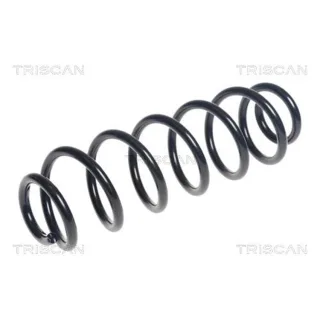 Triscan Feder hinten Skoda Octavia VW Golf 875029413